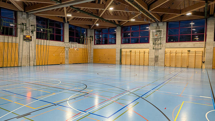 PXL_20260301_175033703.MP