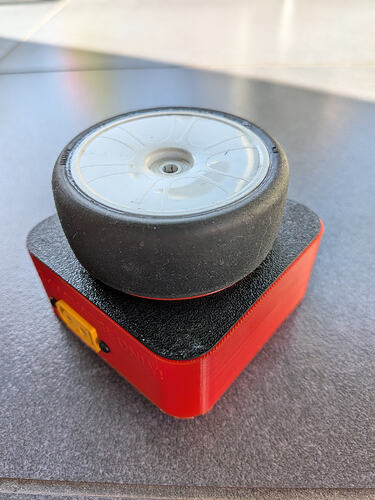 PXL_20260224_131624662.MACRO_FOCUS